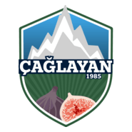 Çağlayanspor Logo PNG Vector