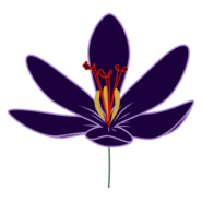 Crocus Blossom Logo PNG Vector