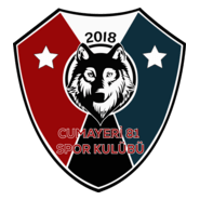 Cumayeri 81 Spor Logo PNG Vector