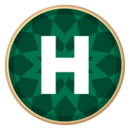 Novyi kanal Logo PNG Vector