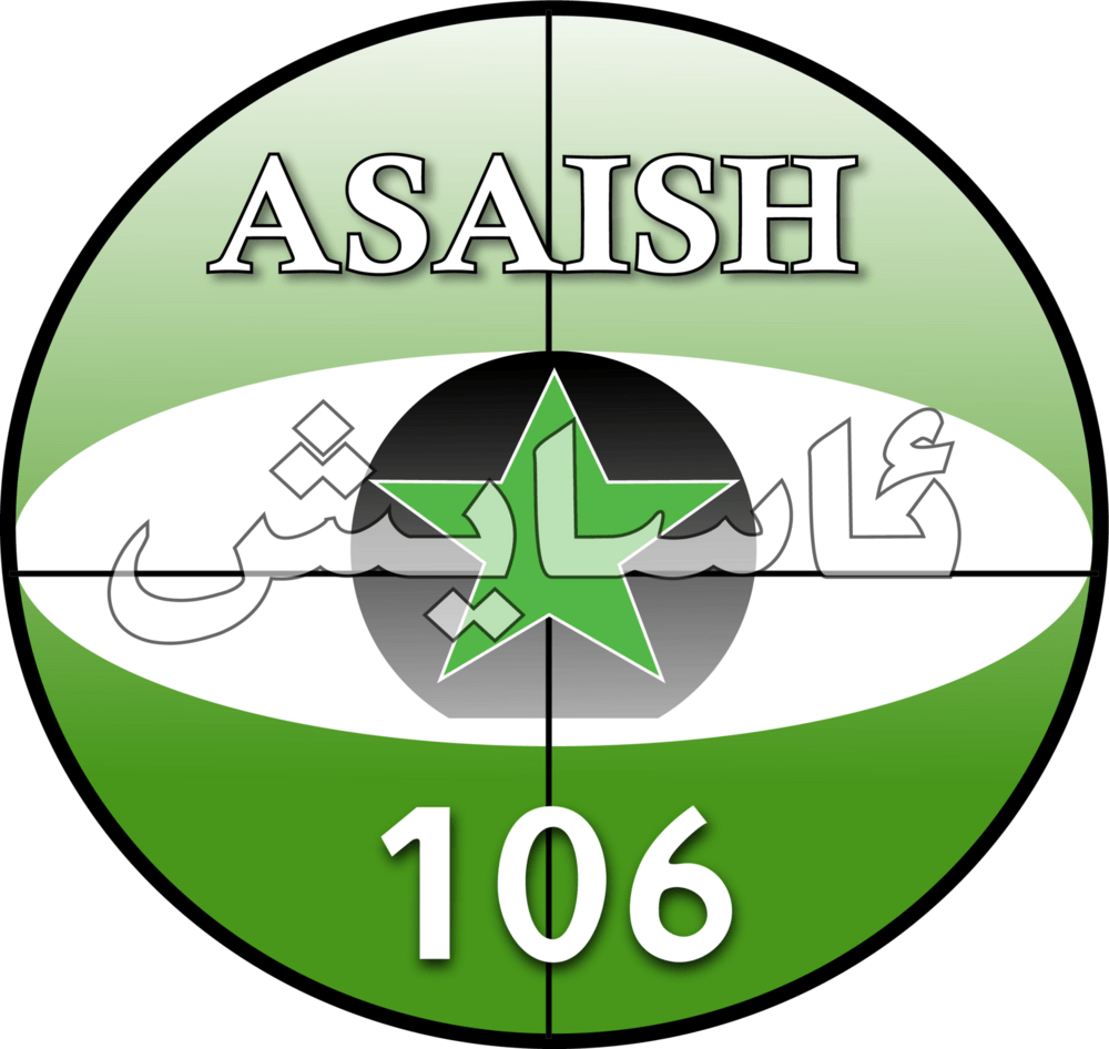 ASAISH Logo PNG Vector