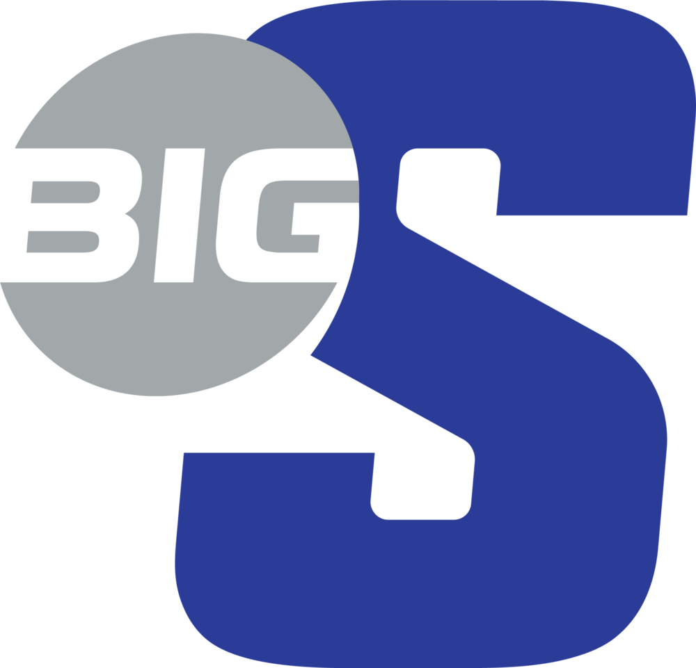 Big South Conference icon in Hampton Colors Logo PNG Vector