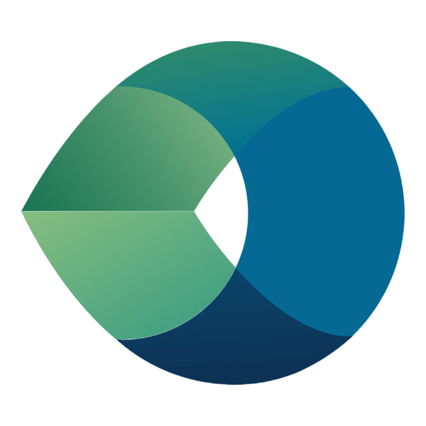 Camtek Logo PNG Vector