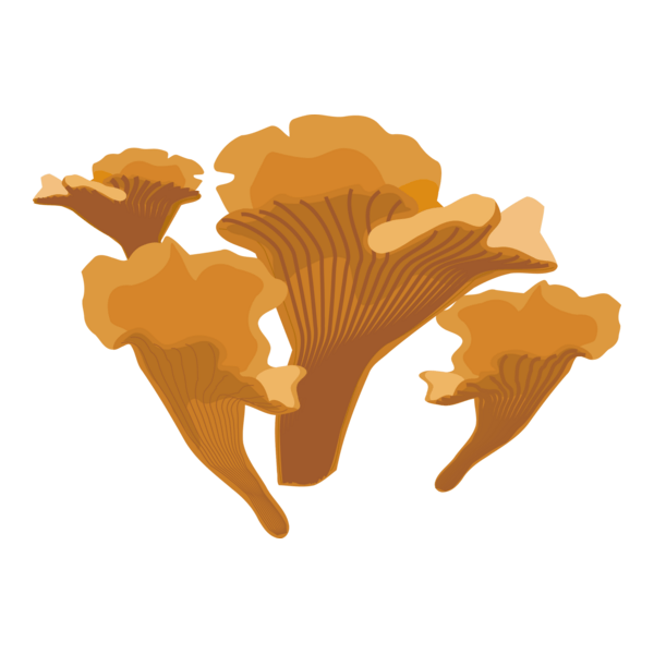 Orange Wrinkled Mushrooms Logo PNG Vector