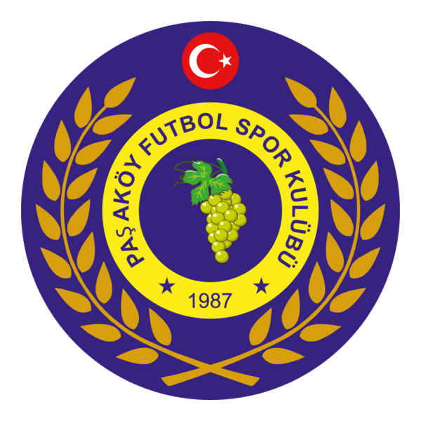 Paşaköy Futbol SK Logo PNG Vector