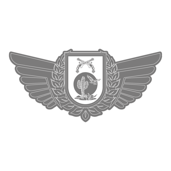 POLICIA MILITAR DE PERNAMBUCO - CIOSAC BREVE Logo PNG Vector