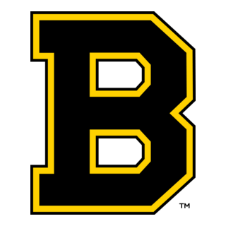 Boston Bruins 1934-1949 Logo PNG Vector