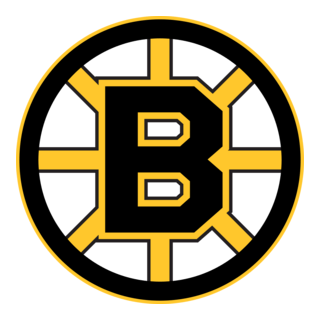 Boston Bruins 1995-2007 Logo PNG Vector