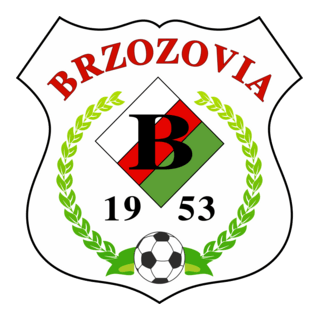 Brzozovia Brzozów Logo PNG Vector