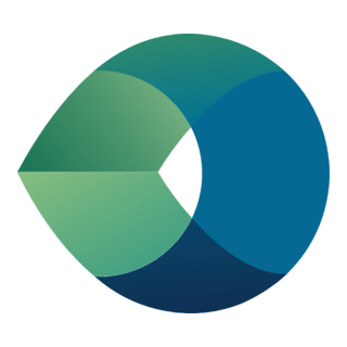 Camtek Logo PNG Vector