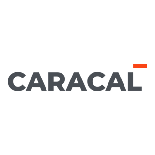 Caracal International Logo PNG Vector