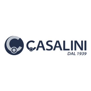 Casalini Logo PNG Vector