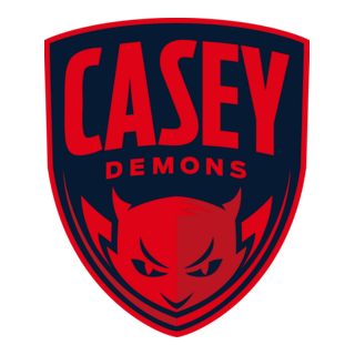 Casey Icon Casey Logo PNG Vectors Free Download
