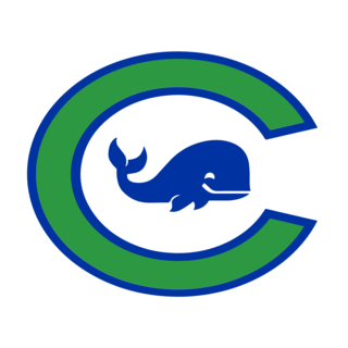 Connecticut Whale Logo PNG Vector