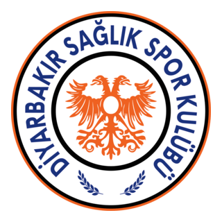 Diyarbakır Sağlıkspor Logo PNG Vector