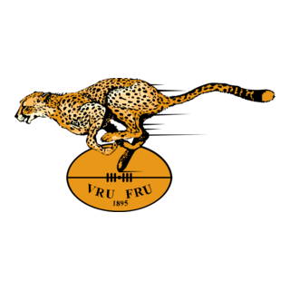 Free State Cheetahs Logo PNG Vector