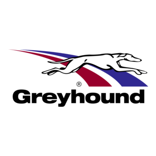 Greyhound Logo PNG Vector