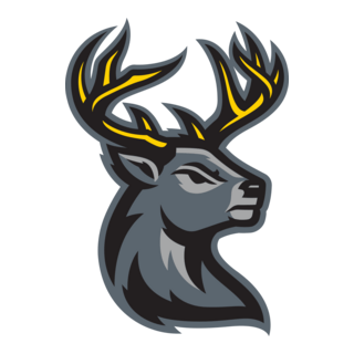 Iowa Heartlanders Logo PNG Vector