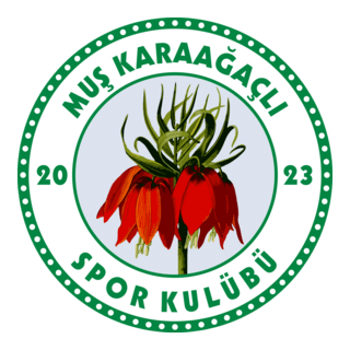 Karaağaçlıspor Logo PNG Vector