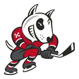 Niagara IceDogs Logo PNG Vector
