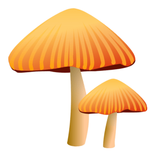 Orange Mushroom Logo PNG Vector