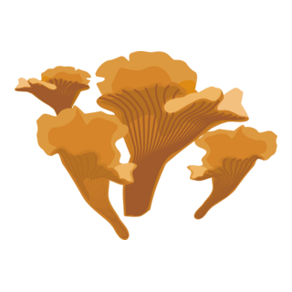 Orange Wrinkled Mushrooms Logo PNG Vector