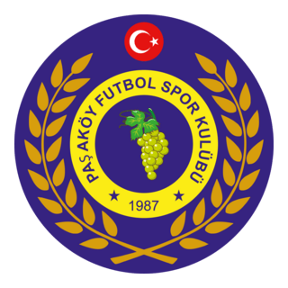 Paşaköy Futbol SK Logo PNG Vector