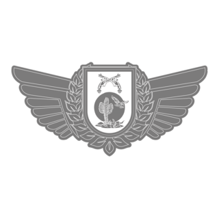 POLICIA MILITAR DE PERNAMBUCO - CIOSAC BREVE Logo PNG Vector