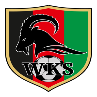 Prosna Wieruszów Logo PNG Vector