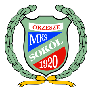 Sokół Orzesze Logo PNG Vector