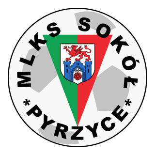 Sokół Pyrzyce Logo PNG Vector