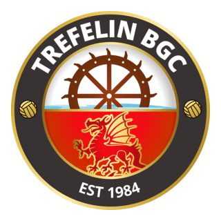 Trefelin BGC Logo PNG Vector