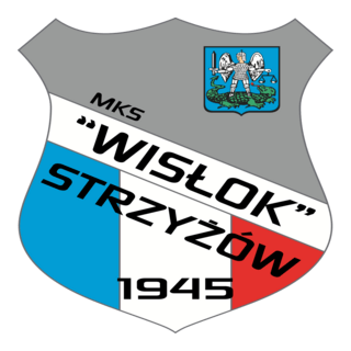 Wisłok Strzyżów Logo PNG Vector