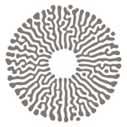 Amaala Logo PNG Vector