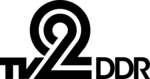 Fernsehen der DDR 2 Logo PNG Vector