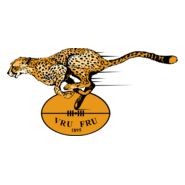 Free State Cheetahs Logo PNG Vector