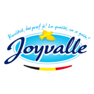 Joyvalle Logo PNG Vector