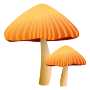 Orange Mushroom Logo PNG Vector