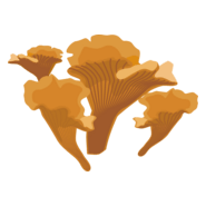 Orange Wrinkled Mushrooms Logo PNG Vector