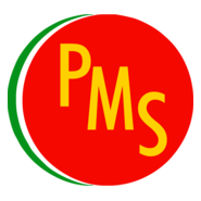 Partido Socialista Brasileiro - PSB/RJ Logo PNG Vector (CDR) Free Download