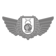 POLICIA MILITAR DE PERNAMBUCO - CIOSAC BREVE Logo PNG Vector