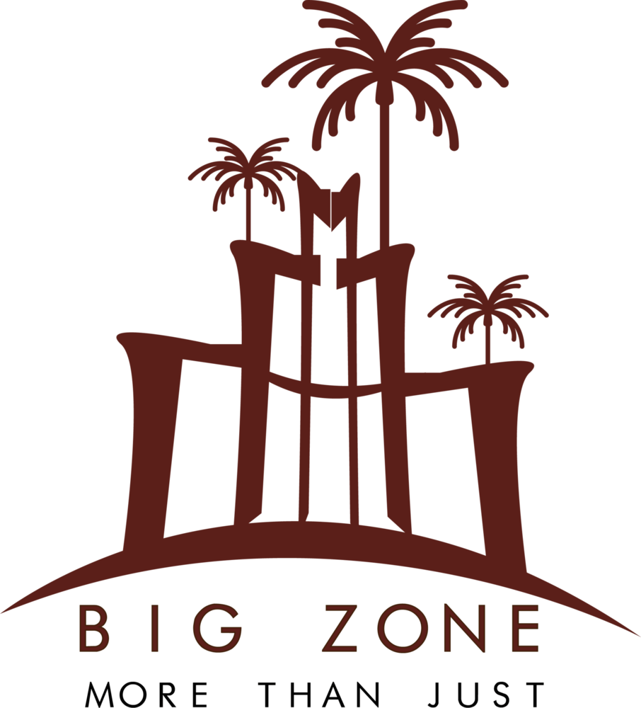 Big Zone Logo PNG Vector