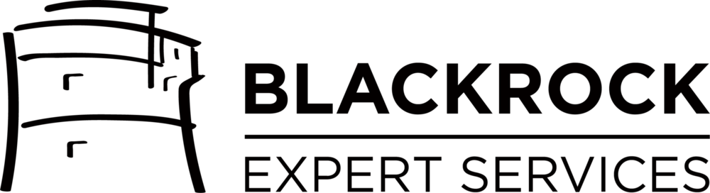 Blackrock Expert Services Logo PNG Vector