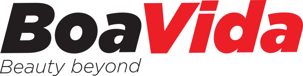 Boavida Logo PNG Vector