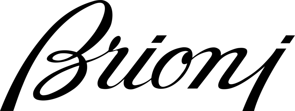 Brioni Logo PNG Vector