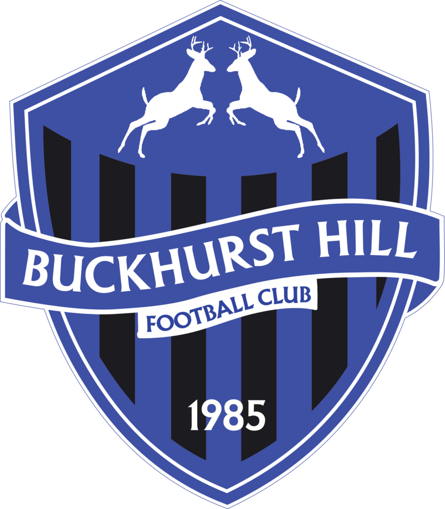 Buckhurst Hill FC Logo PNG Vector