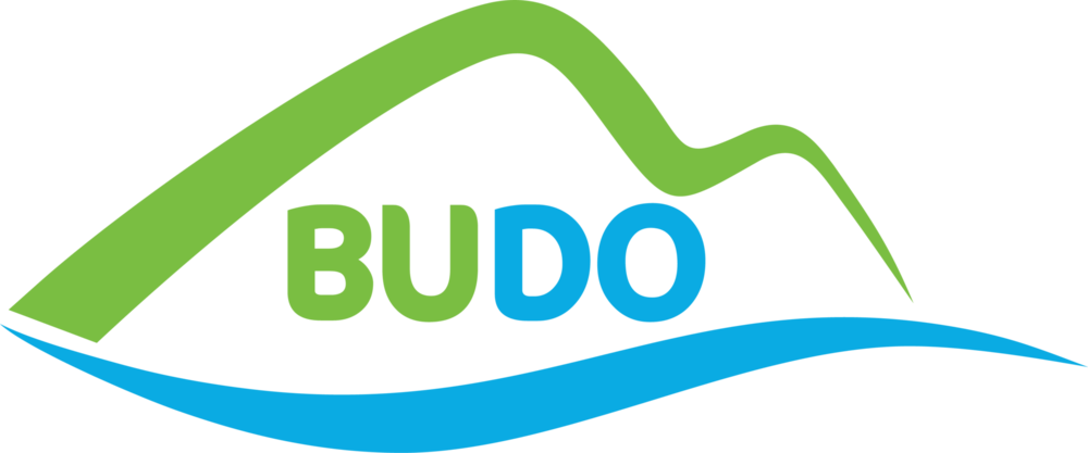 Budo Logo PNG Vector