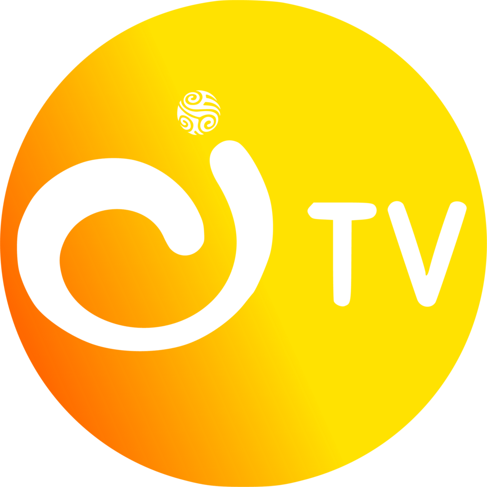Canal Institucional Tv Logo PNG Vector