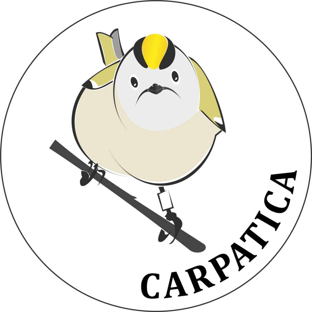 Carpatica Logo PNG Vector