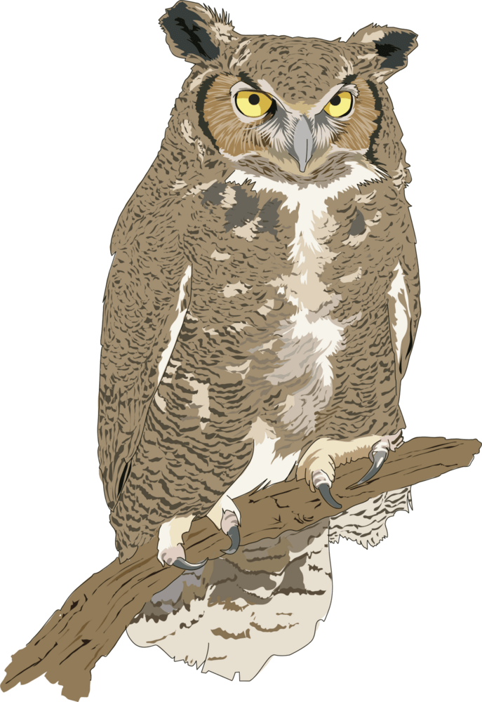 Eagle Owl Logo PNG Vector